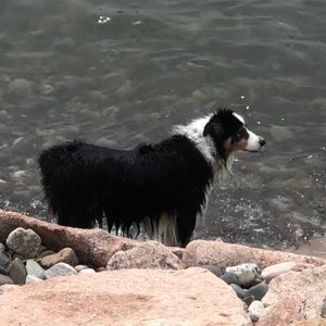 Meet your Posher, Rajan